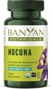 Banyan Botanicals Mucuna Pruriens – Tabla de hierbas orgánicas – Energizante, soporta sistemas reproductivos saludables Nervous* – Fuente natural de L-Dopa – 90 Tabletas – No GMO Fuente sostenible Vegan