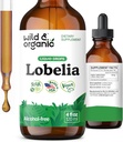 Wild & Organic Lobelia Tincture - Lung Detox y Cleanse - Líquido Lobelia Herb Suplemento - Extracto de hoja vegano, azúcar y sin alcohol - 4 fl oz