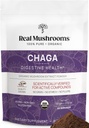 Setas reales Chaga Mushroom Powder – Extracto de Chaga Orgánica del Cuerpo de Fruto – para el Bienestar diario y el apoyo energético – Vegan, No GMO, 60 Servidores Suplemento de Mushroom