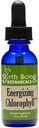 Energizing Chlorophyll Tincture, Super Concentrated Liquid Chlorophyll Drops, Herbal Energy Support Supplement and Internal Deodorizer, Mint Flavor 1oz Bottle