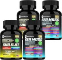 Sea Moss Black Seed Oil Ashwagandha Ginger Capsules,Suplemento con Turmérico y Ginger Suplemento Bladderwrack Burdock Root Orgánico,ACV Black Seed Oil - 240 Sea Moss Capsules