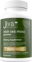 Jiva Botanicals - Irlandés Moss Gummies with Bladderwrack & Burdock Root 3000mg - Immune System Support for Adults - 60 Count