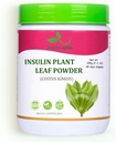JAGGY Polvo de hoja de planta de insulina (Costus Igneus) 200g(7.1 oz) Powder de plantas de insulina natural (65 Day Supply)