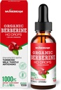 Bereberina orgánica HCl 1000mg gotas líquidas - con Ceylán Cinnamon Turmeric Milk Thistle Artichoke - Alta Biodisponibilidad Suplemento para hombres mujeres - azucar vegano gratis 2fl. oz (60ml)