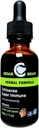 Cedar Bear Echinacea Super Immune Blend a Liquid Herbal Supplement that Boost Your Immune System to Help Maintain White Blood Cell Activity and Other Immune Functions 1 Fl Oz