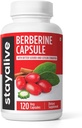 STAY ALIVE Premium Berberine with Ceylon Cinnamon, 3-in-1 Complejo con Berberine HCL 1200mg & Bitter Gourd Extract, 120 Capsules, Extra Strength Powder, Non-GMO & Gluten-Free Supplement