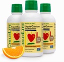 ChildLife Essentials Suplemento de calcio líquido para niños - Calcio bebé con magnesio, zinc y vitamina D3 - sabor a naranja, 16 fl oz (3 Pack)