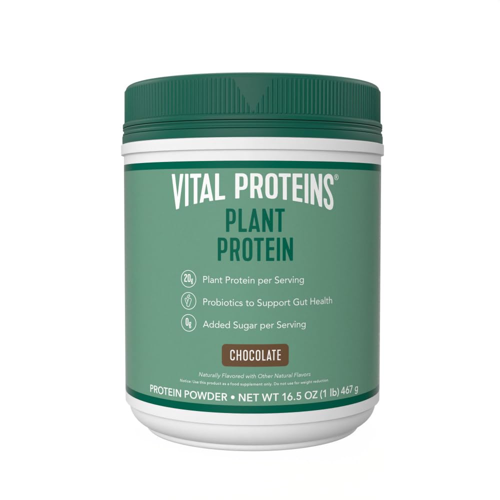 Polvo Proteínas Vital Proteína Proteína – Proteína de 20g con base vegetal con Chickpea – Probiótico de 1B CFU para la Salud Gut, No Añadido Azúcar – Chocolate, 16,5 oz