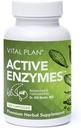 Enzimas activos Suplemento del Dr. Bill Rawls - Enzimas digestivas para la salud de Gut " - Protease, Bromelain, Lactase, Amylase " Lipase (120 cápsulas)
