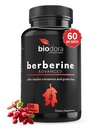 Berberine Advanced Plus con 1200mg Berberine - 100mg Ceylon Cinnamon y 100mg Green Tea Extract - 1400mg Por Dose -120 Capsules - 60 Day Supply - Supports Immune and Cardiovascular