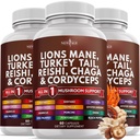 Nuevo AGE Lions Mane Mushroom Suplemento con Turquía Tail Reishi Cordyceps Chaga con Marshmallow Root 180 Conde
