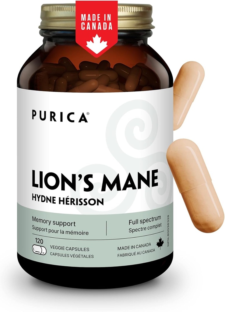 PURICA - Setas micronizadas Mane de León, 120 cápsulas Vegan Suministro de 60 días - promueve la salud cognitiva - no GMO y libre de gluten - Focus and Memory Support - Brain Health y mejora la digestión