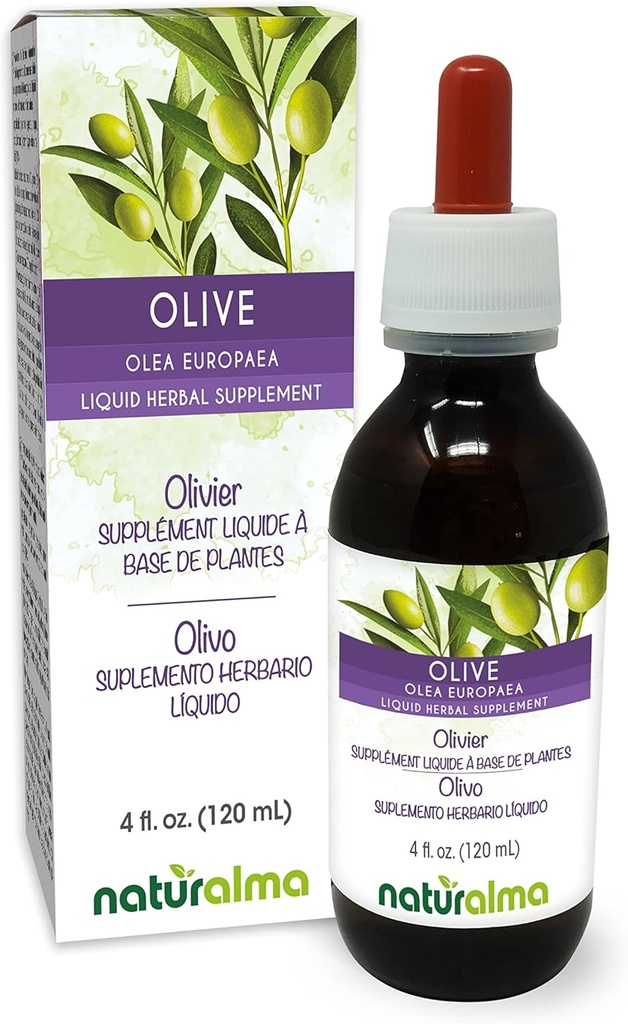 Naturalma Olive (Olea europaea) Leaf Alcohol-Free Tintura - 4 fl oz Liquid Extract in Drops - Herbal Supplement - Vegan
