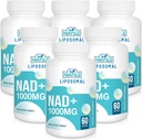 Liposomal NAD+ Suplemento 1000 mg TENIDO Pontecy más alto NAD soporta Max Absorption ← Puro NAD Suplemento de Energía y Reparación de ADN, Defensa del envejecimiento, Función del cerebro Softgels