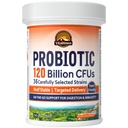 Probióticos de Vitalitown 120 Billones CFUs, 36 Estrechos, Prebióticos, Enzimas Digestivos para Mujeres Hombres, Lanzamiento Dilatado, Estable de Estante, Sobre el apoyo Digestivo Go, 30 Caps de Veg