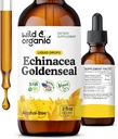 Wild & Organic Echinacea Goldenseal Liquid Drops - Immune Support Suplemento w / Goldenseal Echinacea Root Extract - Vegan, Sugar & Alcohol-Free Tintura - 2 fl oz