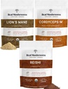 Setas reales Agrupo de rendimiento de pico - Mane de León + Reishi + Cordyceps-M Certified Organic Mushroom Powders for Vitality, Immunity & Longevity