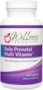 Wellness Resources Daily Prenatal Multi Vitamin - Methylated Folate Zinc Iron Bisglycinate Choline " Key Nutrients - Vitaminas posparto posnatales naturales para mujeres - 120 caps