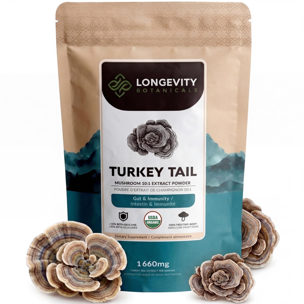 Orgánica Turquía Tail Mushroom Powder Suplemento 100g ← Pure Fruiting Body 10:1 High Strength Extract TEN 50% Beta-D Glucans TEN 16,600mg Raw Equivalent Por Serving ANTE Immune, Gut & Microbiome Support