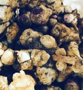 Organic Jerusalem Artichoke Tubers (Helianthus tuberosus) - Sunchokes, Sunroot or Jerusalem Artichokes for Planting or Eating - 5 Tubers by Smoke Camp Crafts