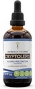 Secrets of the Tribe Cryptolepis Tincture Extract sin alcohol, High-Potency Herbal Drops, Tincture Made from Wildcrafted Cryptolepis Sanguinolenta 4 oz