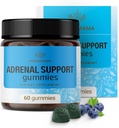 HERBAMAMA Soporte Adrenal Gummies - Suplemento Complejo Adrenal Puro para Mujeres con Aswagandha Root, Rhodiola Rosea & Magnesium - Vegan, Non-GMO - 60 Pectin-Based Blueberry-Flavored Chews