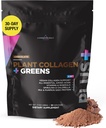 Livingood Daily Plant Collagen + Greens Powder, Chocolate, 5-in-1 Collagen Soporte con Pea Protein, Amino Acids, Spirulina, Clorella & Vitamina C, Hair Skin Nails Support, Vegan, 30 Servings