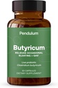 Péndulo GI Reparar Silencioso A Probióticos Suplemento y Hombres - Aumenta el Butyrate, mejora la salud de Gut, disminuye el trastorno de GI ocasional, ruboriza, " diarrea. Contiene Clostridium Butyricum, 30 Condes