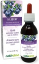 Naturalma Bilberry o Blueberry Europea (Vaccinium myrtillus) Fruto Sin alcohol Tintura - 4 fl oz Extracto líquido en gotas - Suplemento herbal - Vegan