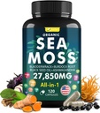 Irlandés Moss Capsules 120 Conde - Advanced Sea Moss Pills with Black Seed Oil, Ashwagandha, Ginger, Bladderwrack, Elderberry, Vitamin C & D3 - Superfood, Wild Seamoss Tablets,Seamoss Pills