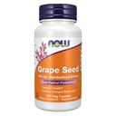 AHORA Suplementos, semillas de uva 100 mg - Extracto estandarizado, Extracto altamente concentrado con un mínimo de 90% de polifenoles, con vitamina C, 100 cápsulas de veg