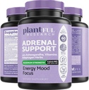 Soporte Adrenal & Cortisol Gerente Suplemento de Adaptógenos de Alta Puridad Ultra, Extracto de Ashwagandha, Rhodiola Rosea Capsules for Natural Energy, Fatigue, Mood Boost Non GMO