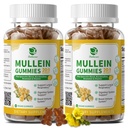 (2 Pack) 9 in 1 Mullein Gummies for Lung Cleanse & Lymphatic Drainage*, Extra Strength Mullein Leaf Extract w/Quercetin, Bromelain, Elderberry & Marshmallow for Respiratory & Immunity,Vegan,120 Count