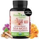 ForestLeaf Organic Irish Sea Moss Capsules  2100mg Raw Seamoss Pills Advanced Supplement Superfood + Burdock, Bladderwrack for Digestive, Respiratory, Immune Health ← 90 Vegan Organic Sea Mos Caps