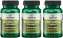 Swanson Lactobacillus Gasseri - Suplemento Probiótico Apoyo Salud Digestiva con 3 Billones CFU - Diseño-Release Satiety & Fat Metabolism Support - (60 Veggie Capsules) 3 Botellas