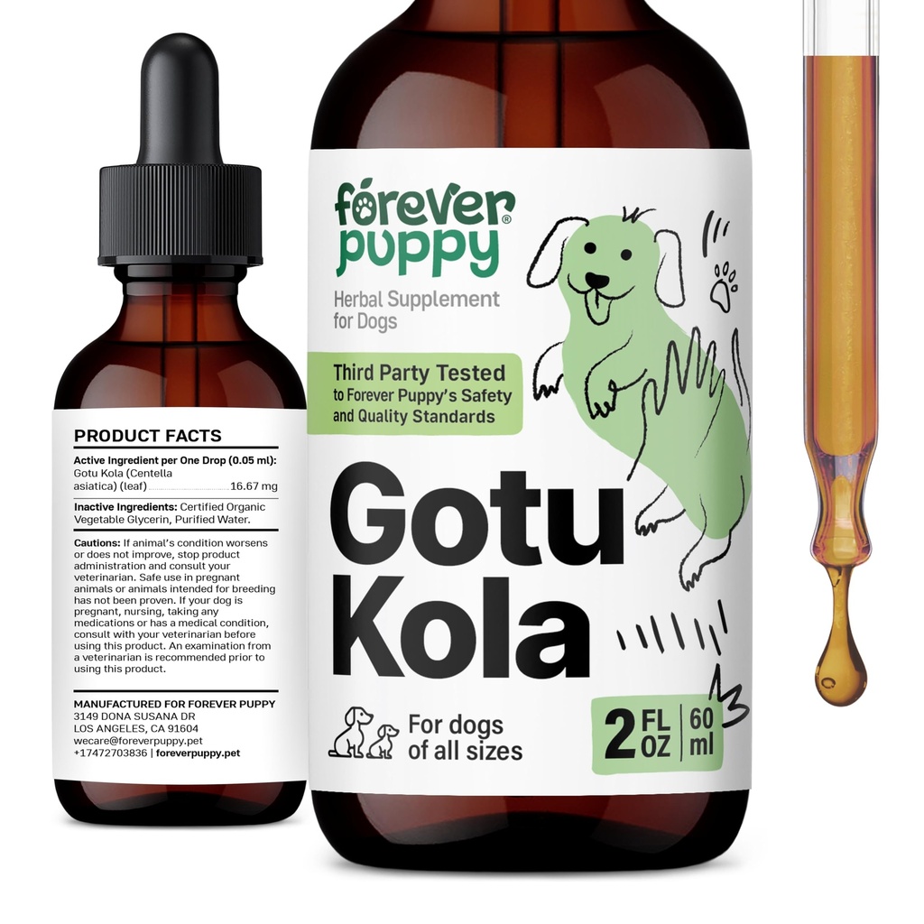 Forever Puppy Gotu Kola Drops for Dogs - Centella Asiatica & Gotu Kola Extract for Brain Health Support - Liquid Brain Supplement for Dogs of All Breeds & Sizes - 2 oz