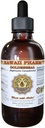HawaiiPharm Goldenseal Liquid Extract, Organic Goldenseal (Hydrastis Canadensis) Tincture Suplemento 4 oz