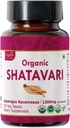 Shatavari 120 Tablets ← Espárragos Racemosus (Shatavari) Silencio USDA Orgánica Certificada  sometida Apoya el Sistema de Salud e Inmunidad de las Mujeres b