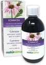 Naturalma Echinacea (Echinacea angustifolia y purpurea) Bota y hierba Alcohol-Free Tintura - 16.9 fl oz Liquid Extract in Drops - Herbal Supplement - Vegan