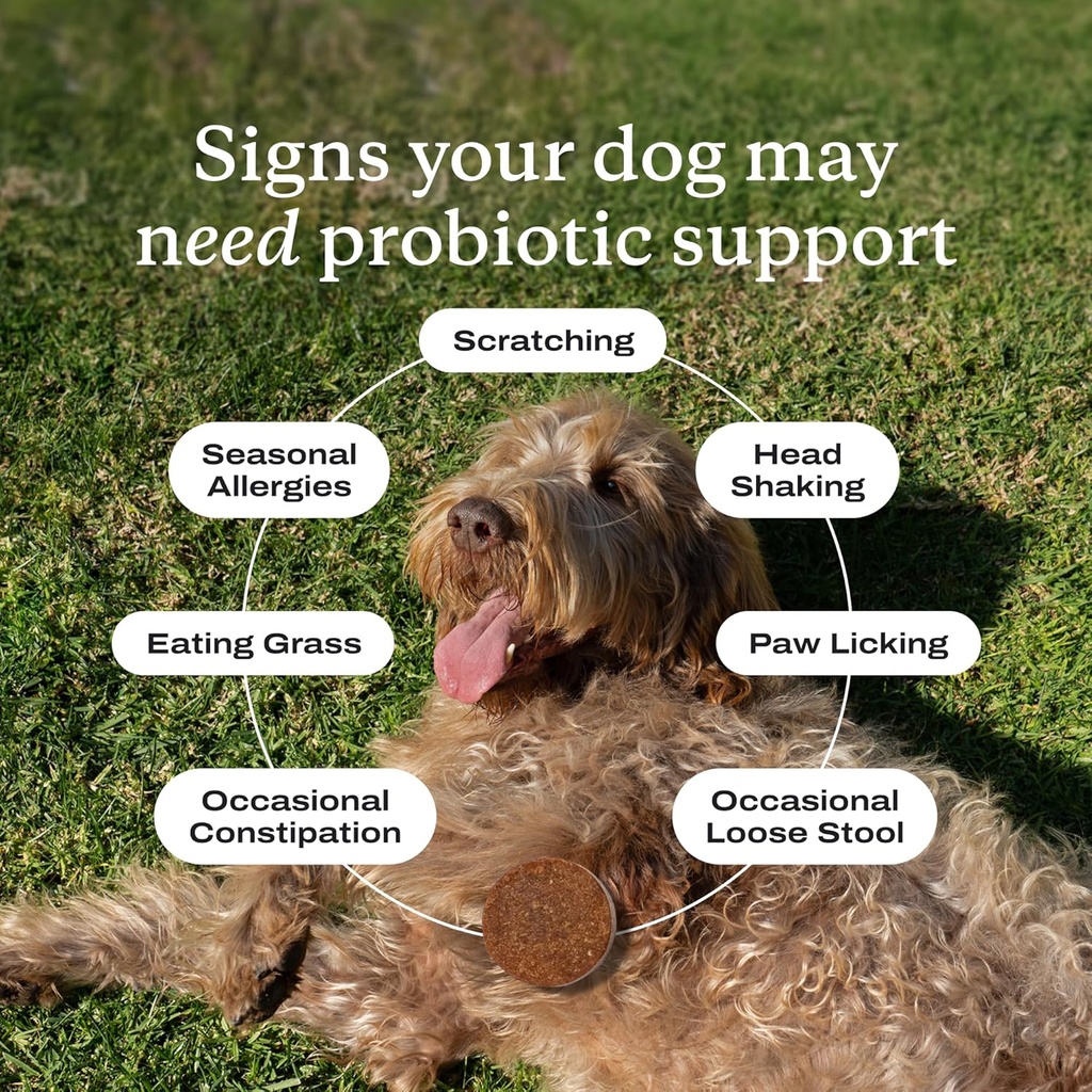 PetLab Co. – Probiótico de perros multivatamina Bundle: Multivitamínicos Chewable para perros Soporte Salud & Probióticos para perros para apoyar la piel picante, heces ocasionales y la producción saludable de levadura