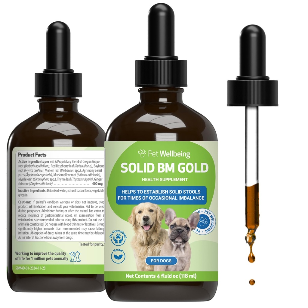 Pet Wellbeing Solid BM Gold for Dogs - Supports Healthy Digestive Function, Solid Stools, Normal Bowel Movements, Bayberry - Veterinarian-Formulated Herbal Supplement 4 oz (118 ml)