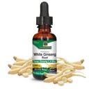Respuesta de la naturaleza White Ginseng Root Alcohol Gratis 1 Fluid Ounce ← Immune Support ¦ Promotes Cognitive Function ← Clarity Mental y Focus