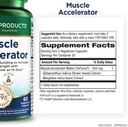 Purity Products Muscle Accelerator 650 mg Patented " Clinically Acelerador del músculo testado Blend of Ayurvedic Herbal Extracts Promotes Strength, Endurance + Crecimiento muscular - 60 Veg Caps (3)