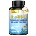 Complejo de Magnesio 5-en-1 Silencioso 320mg de Magnesium Glycinate, Malate, Citrate... Silencioso para el sueño, relajación muscular, y metabolismo de energía TEN High Absorption ANTE Vegan, Non-GMO Silencio 120 Capsules