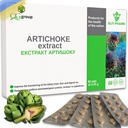 Grupo QG Extracto puro de Artichoke (80 Tablets - 200mg Cada) Suplemento dietético para la salud y la digestión del hígado - Suplemento para hombres y mujeres