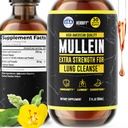 HERBIFY Mullein Extracto 2 oz Tintura para la salud respiratoria, hoja de Mullein y flores Blend (Verbascum Densiflorum)