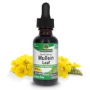 Respuesta de la naturaleza Mullein Herb - Mullein Leaf Extract for Lungs - Alcohol Free, Non GMO, Made in USA - Supports Respiratory Function &amp; Promotes Healthy Lungs - Mullein Leaf 1 Ounce Extract