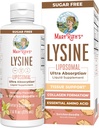 Vegan Lysine Suplemento por MaryRuth's Silencio Ultra Absorption  Lysine 500mg  Collagen Formation Support ← Immune Support Suplemento ← Salud " Bienness ← Non GMO  Gluten Free ← 30 Servings