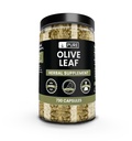 PURE ORIGINAL INGREDIENTES Hoja de oliva (730 cápsulas) No hay magnesio o explosivos de arroz