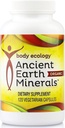 Ecología Corporal Antiguos Minerales de la Tierra TENIDO 100% Trace Mineral Recorrido por Plantas Suplemento Mineral TENIDO Construye Inmunidad eterna Promueve la Detoxificación ANTE No-GMO TEN 120 Cuenta Vegetariana